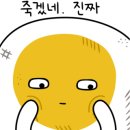 솔트투어