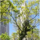 신동탄포레자이공인중개사사무소 이미지