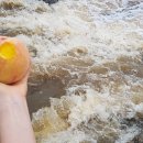 홍장농장 이미지