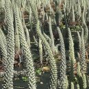 김관호한의원 이미지