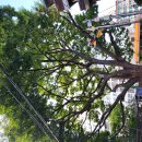 면목동-213 이미지