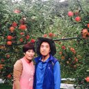 동구밖과수원길 이미지