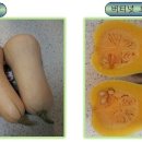 버터넛