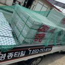 영종타일타이루뱅크