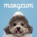 아우우(Aww) 이미지