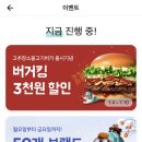청년피자포항 이미지