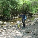 물가펜션 이미지