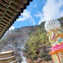삼배목장 네이버블로그