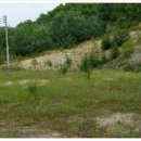 예천목장 이미지