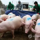 김경태농장 이미지