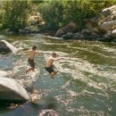 허니치킨 이미지