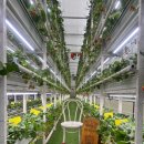 송우목장 이미지