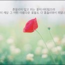 꽃들도 - 칠곡군 자조1길 9-18 | 꽃들도