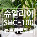 바른뉴트리션 | 슈알리아 SHC-100 뉴트리션 앰플 사용 후기 & 사용법 | 수분 + 영양 케어 한 병으로 끝!