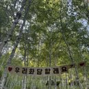 경충대로 2709번길 1 | [경기도 광주시/이천시] 5월/6월 1박2일 국내여행 추천 (화담숲, 곤지암리조트, 이복화 소머리국밥집...
