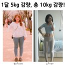 늘씬핏다이어트