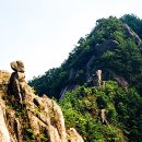 금산 이미지
