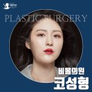 하나성형외과의원 이미지