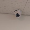 마이도그샵 이미지