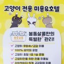 봄동살롱 이미지