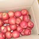 덕암농원 이미지