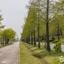 맥도생태공원 이미지