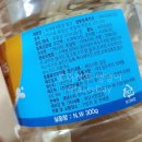 스타덴탈2 이미지