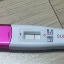 수정-78 | 인공수정 2차 후기｜난포 2개, 배란 타이밍 맞춘 과정 전부 공유해요