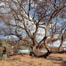 신포마을 이미지