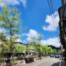 유상행정사사무소 이미지