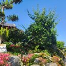 누리마당민박 이미지