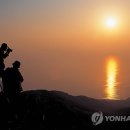 도시공사 앞 교통섬 이미지