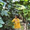 달성농장 | 대구 어린이체험 다하와 바나나 농장 키즈클래스 방문 후기