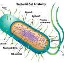 오창프라자약국 이미지