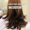 당진 미용실 봄미장원 여성 레이어드컷 헤어스타일
