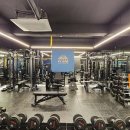 아일랜드피티짐 이미지