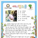 애니멀스쿨 이미지