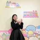 스밋코구라시 팝업 후기 홍대 ak플라자 귀여운 굿즈 예약 스미코구라시