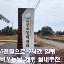 힐링 기타교실(통기타) | 비자숲힐링센터 건습식테라피 후기｜5천원 2시간 힐링·비오는날 제주 실내 가볼만한곳 (2026)
