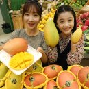 코끼리유통 이미지