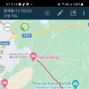 콕투스 티스토리