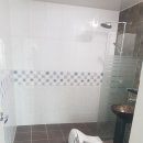 꼬뜨리아 이미지