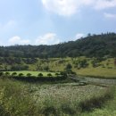 화순 컨트리클럽 이미지