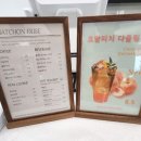 왓숑미용 이미지