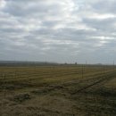 강인한농장 이미지