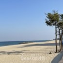 켄싱턴해변 네이버블로그