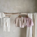 베베룩