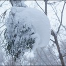 한라산풍경 이미지