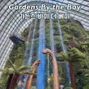 더베이 | 가든스 바이 더 베이 방문 후기｜클라우드 포레스트 쥬라기공원 &amp; 슈퍼트리쇼 후 그랩 꿀팁, 사테거리 코스
