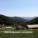 웰리힐리파크 관광단지 이미지